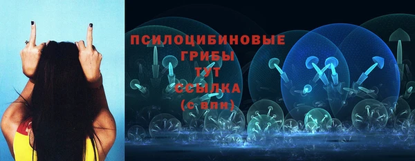 тгк Каменка