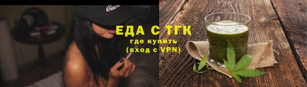тгк Каменка