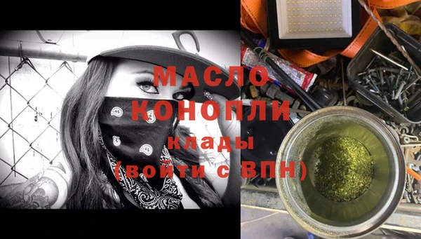 тгк Каменка