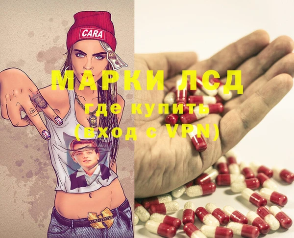 тгк Каменка