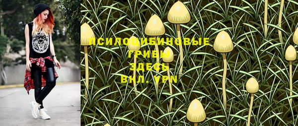 spice Каменск-Шахтинский
