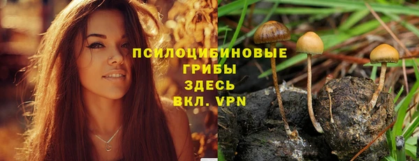 МДПВ Каменногорск