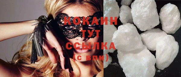 МДПВ Каменногорск