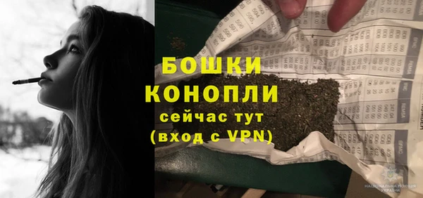 МДПВ Каменногорск